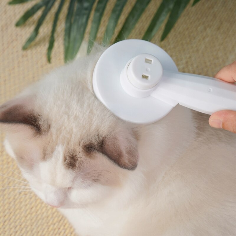 Huisdier Kat Borstel Katten Kam Haar Verwijdert Hond Kammen Katten Grooming Tool Zelfreinigende Slicker Borstel Voor Honden Pet levert