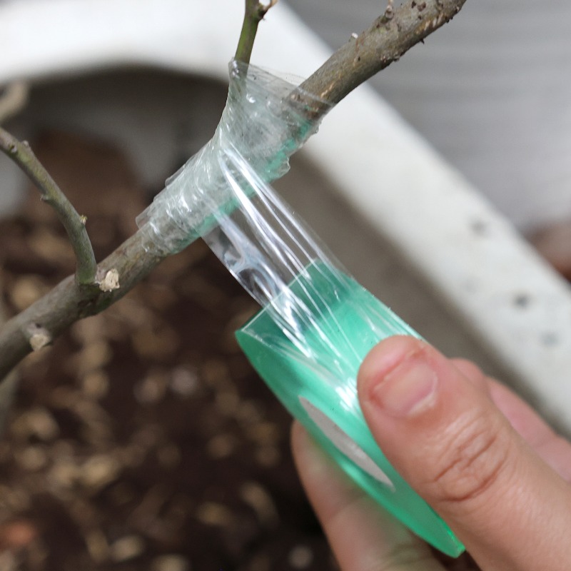 Fita de enxerto verde extensível, 100/300m, para suporte de plantas, uso doméstico, jardim, enxertia, fita transparente para árvores frutíferas