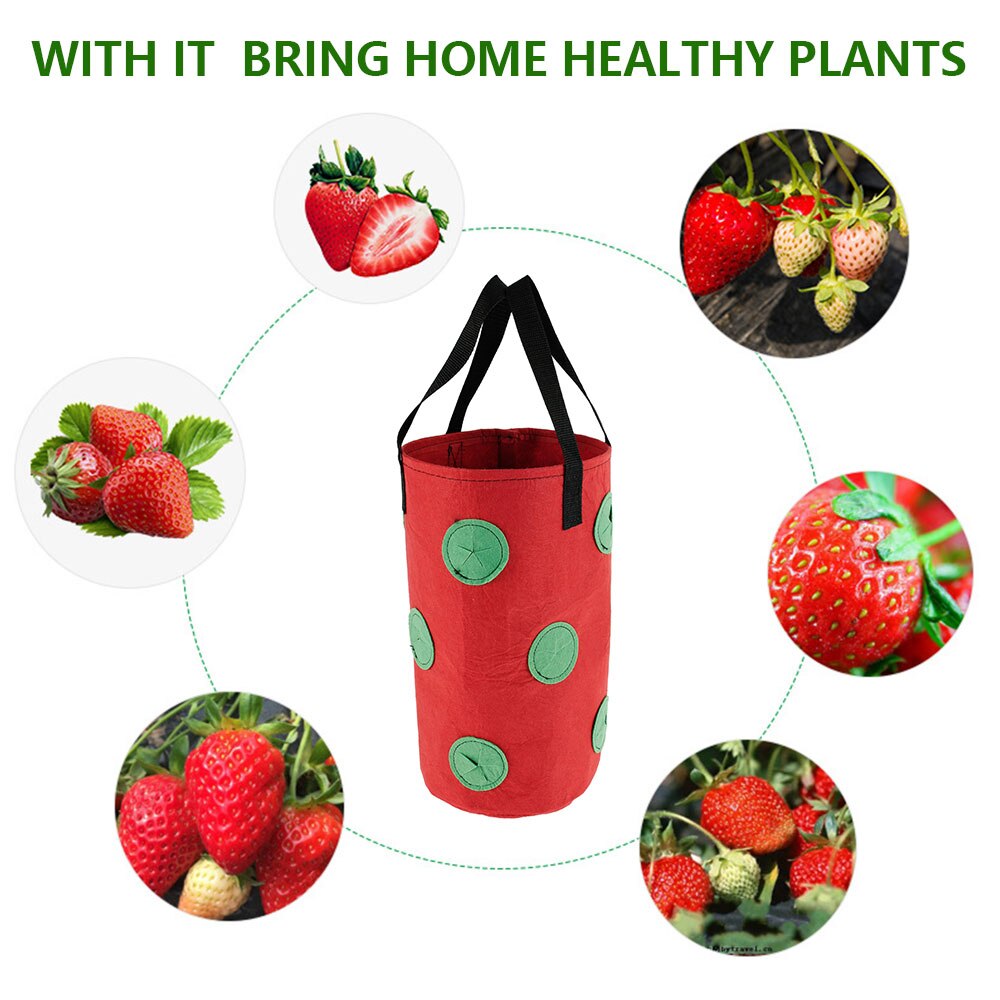 2Pcs 3 Gallons Strawberry Grow Bags for Plants Garden Pots Strawberry Bag Vertical Flower Herb Pouch Reusable Pot Planter Bags