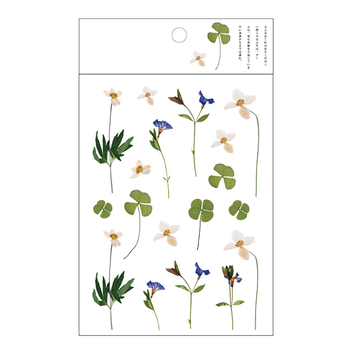 Kokorosa12 Designs Natural Daisy Clover Japanese Words Stickers Transparent PET Material Flowers Leaves Plants Deco Stickers: Gold