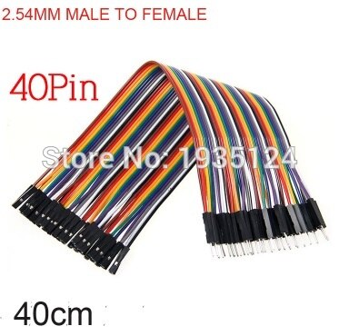 Lot De 100 Connecteurs Dupont 2P 2,54 Mm - Pour Câbles De Démarrage, Projet électronique - Noir, Plastique