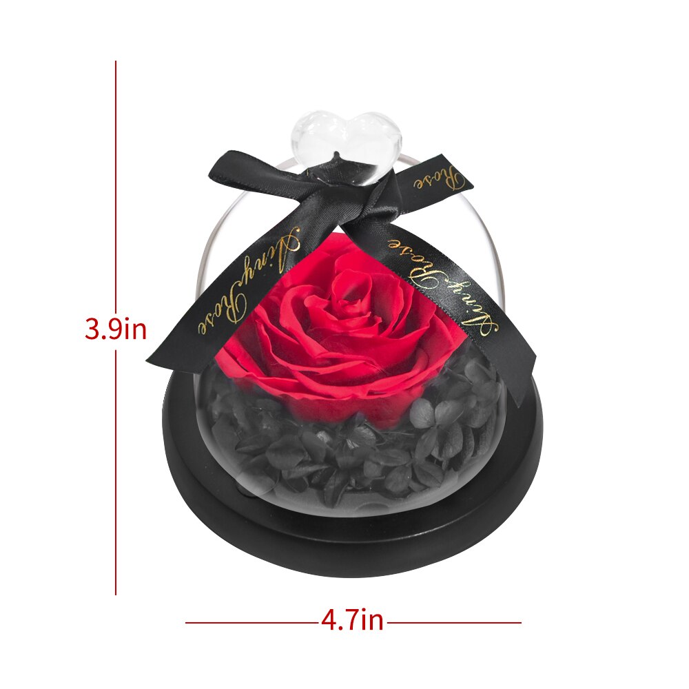 AINYROSE fleur de Rose artificielle en dôme de verre avec lumière LED boîte lampe de nuit Rose éternelle d'anniversaire de mariage pour fille