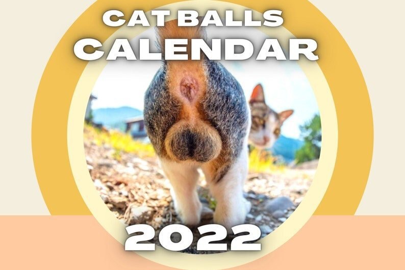 2022 Katten Patroon Kalender Rechthoek Muur Kalender Voor Thuis En Kantoor Maandelijkse 21*30Cm