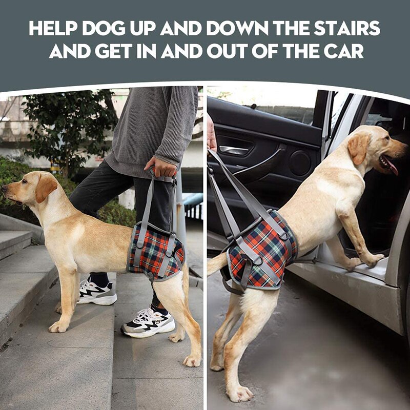 Harnais de soutien pour chien pour jambes avant et arrière gilet de rééducation réglable avec poignée pour vieux chiens handicapés