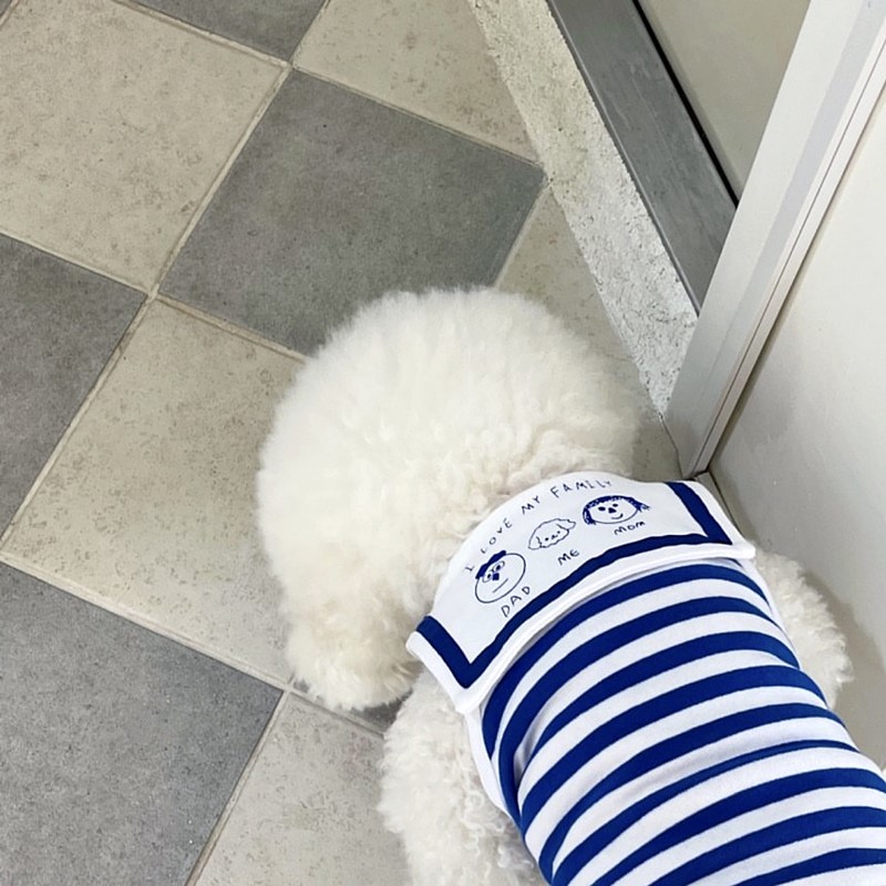 Cute Summer Cotton Vest T-Shirt For Small Dogs & Puppies | Chihuahua Size Pet Clothes