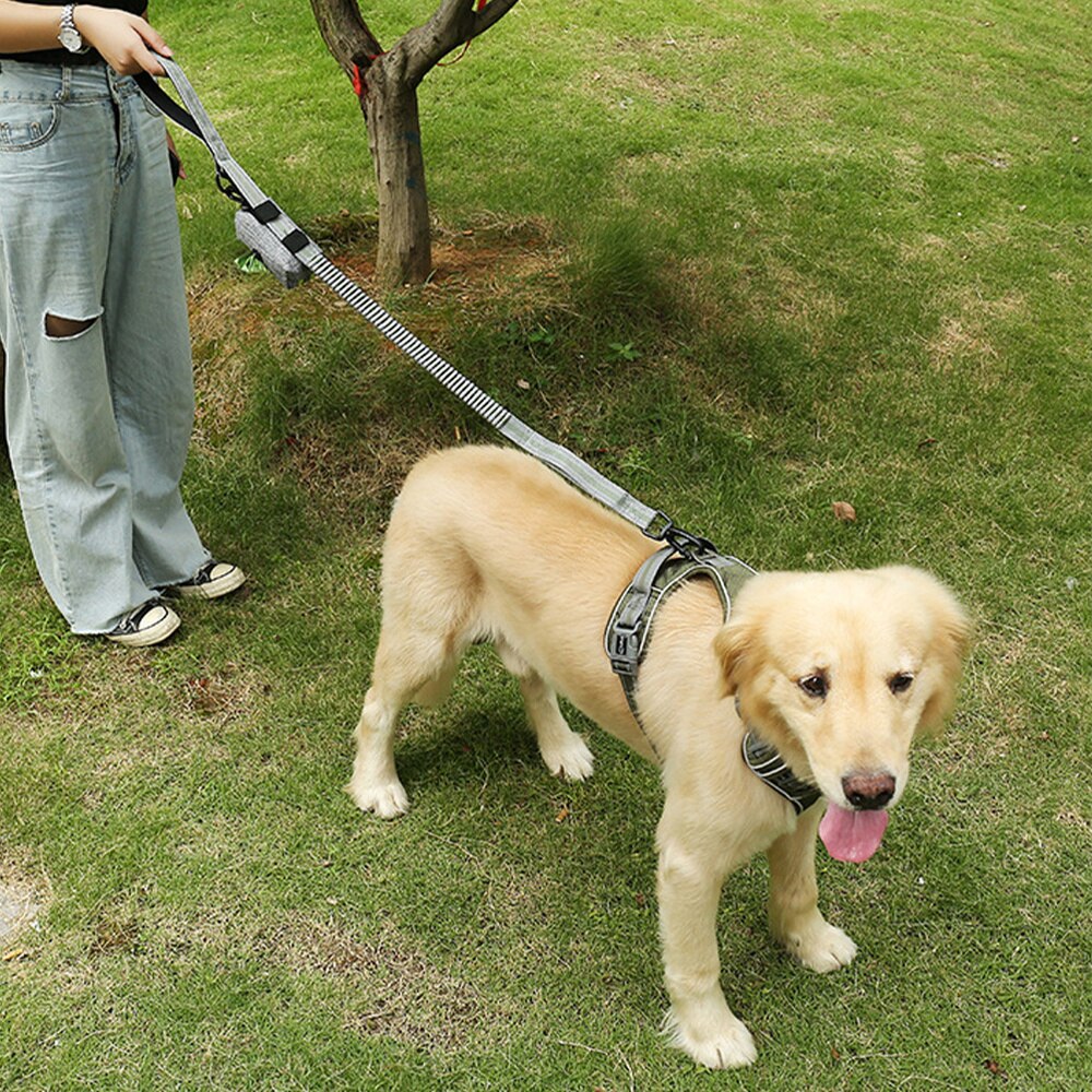 Outdoor Portable Dog Waste Poop Bag Storage Box Pet Trash Bag Container