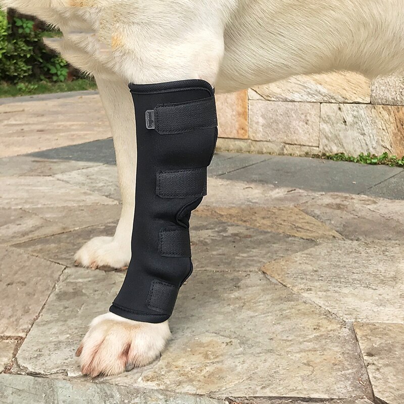 Goedkope hondenaccessoires, hondenpootbandage, geneest en voorkomt verwondingen, ondersteuning van de achterkant van de hond, beschermt wonden, aanbevolen door dierenartsen