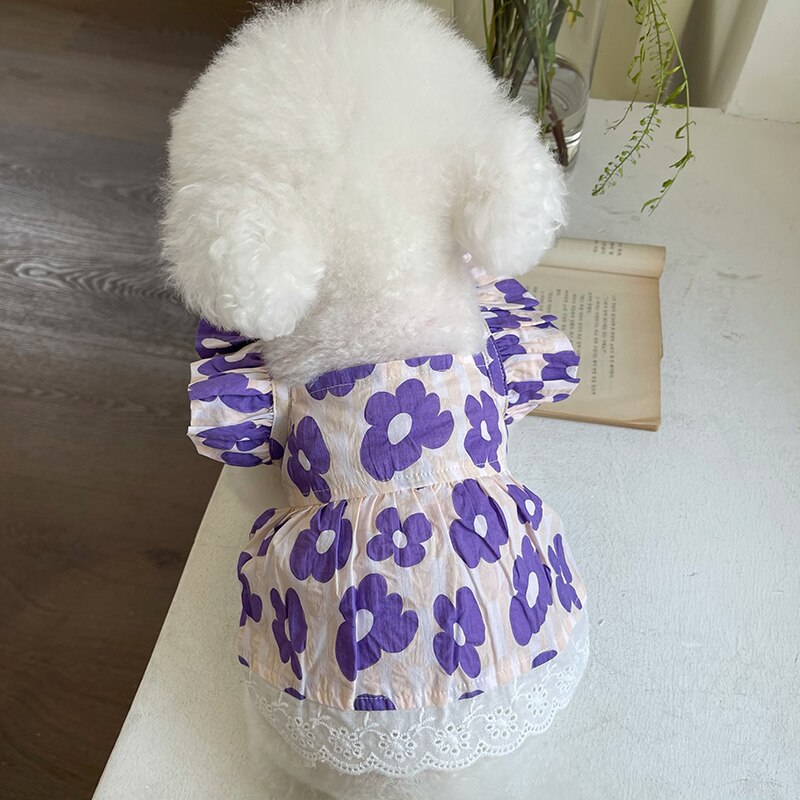 Letnia sukienka dla psa kot sukienki dla szczeniąt Chihuahua pomorskie Shih Tzu maltese Yorkshire pudel Bichon odzież dla małych psów spódnica: FIOLETOWY / XXL