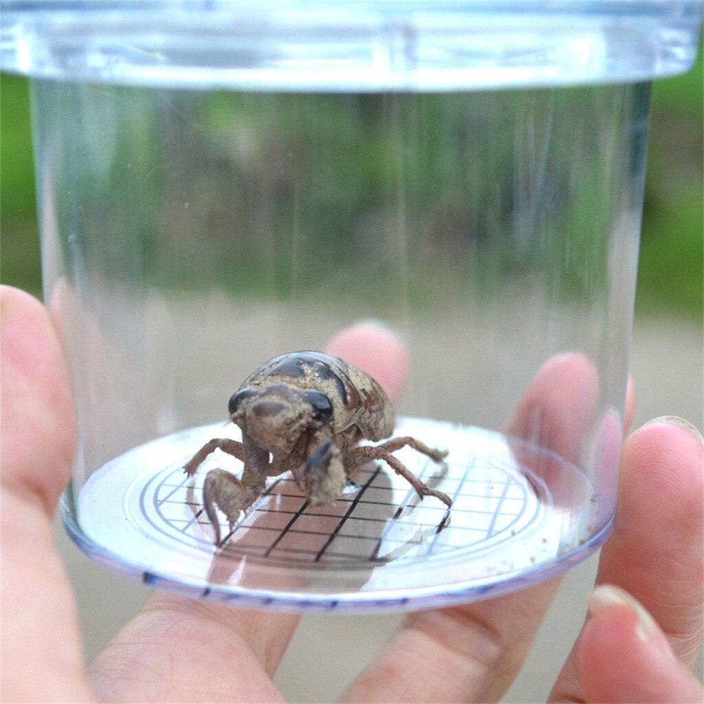 Insect Observation Magnifier Box Cup Spectator Experiment Education Kids Hatching Container Rearing Tank for Lizards Spider