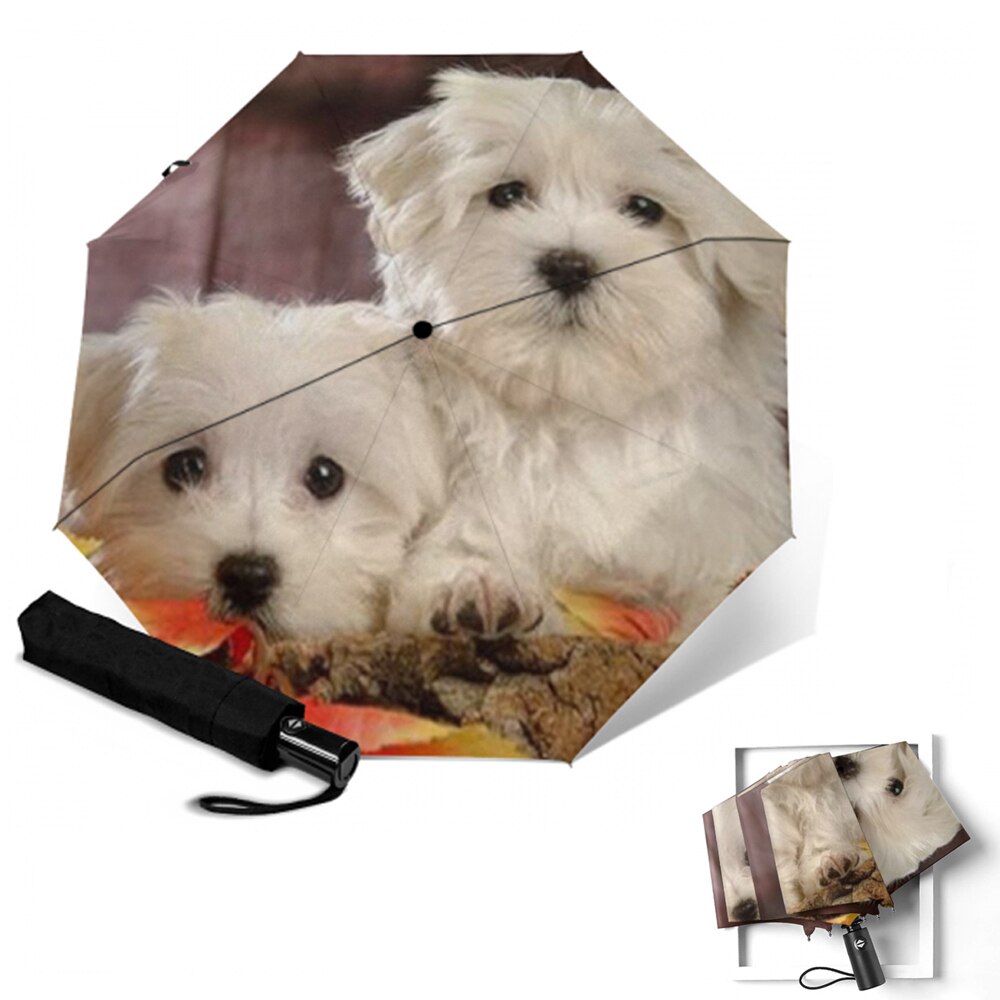 Sombrilla de automática para perro, sombrilla de Anti UV para mujer, sombrilla plegable para 3 personas, paraguas para niños lluviosos, para hombre: YSA1821