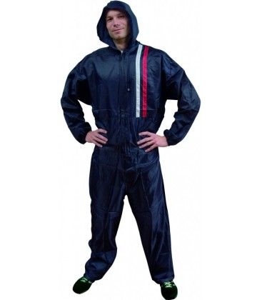 Mono Pintor Azul - XL