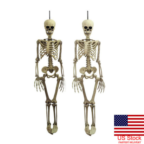 US Halloween Poseable Life Size Skeleton Party Prop Decor Human Anatomy Model