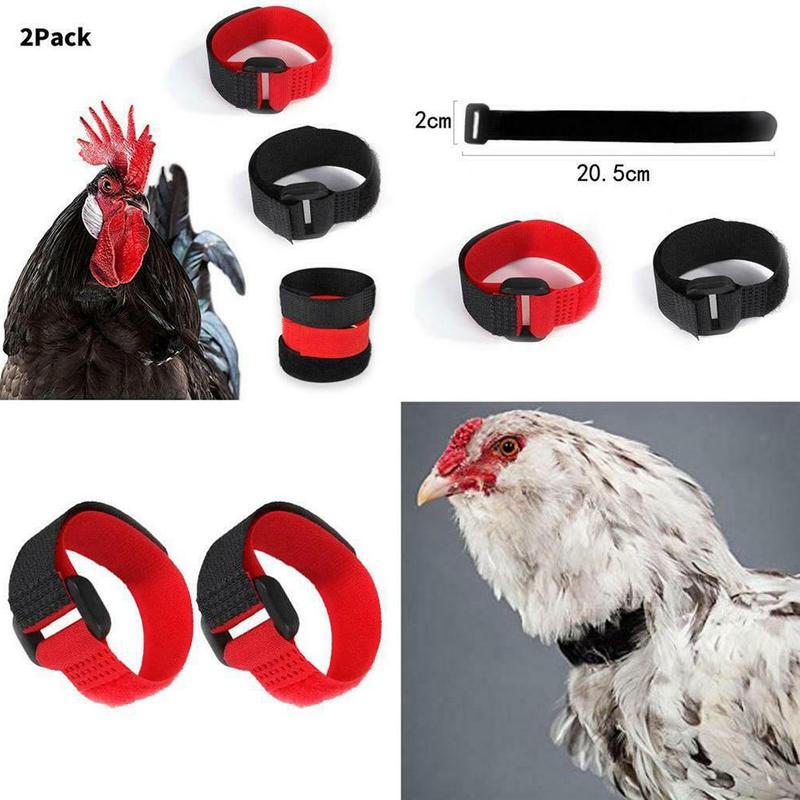 Collar de gallo sin cuervos, Collar de pollo, sin ruido, banda para el cuello antigancho, suministros de herramientas para mascotas, 2 uds.