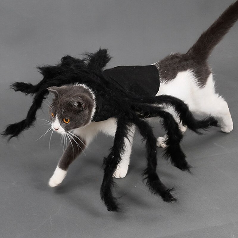 Halloween Honden Katten Kostuum Kleding Sets Voor Pet Katten Honden Spider Kostuums Outfit Kleding Huisdieren Accessoires Jas Simulatie Pluche