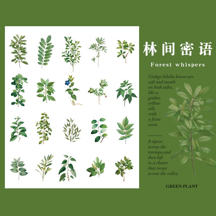 40Pcs Natuur Fotoboek Huisdier Grote Deco Stickers Plant Bloem Blad Transparante Kogel Journaling Accessoires Esthetische Stickers: J