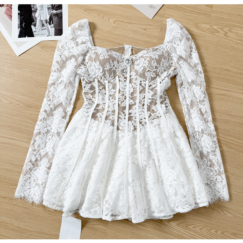 Lace Dress Women Long Sleeve Fishbone Slim Waist Sexy Dress Evening Party Casual Embroidered Floral Mini Dress Female: S