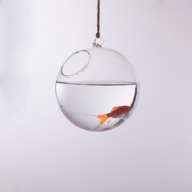 Bolvormige glazen plantenbak voor aan de muur, bloemenvaas, plantenfles, huisdecoratie voor bruiloften