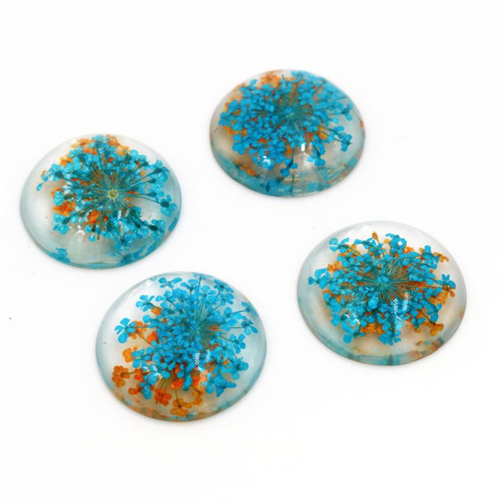 5pcs 25mm Mixed Natural Dried Flowers Flat Back Resin Cabochons Cameo: G4-16