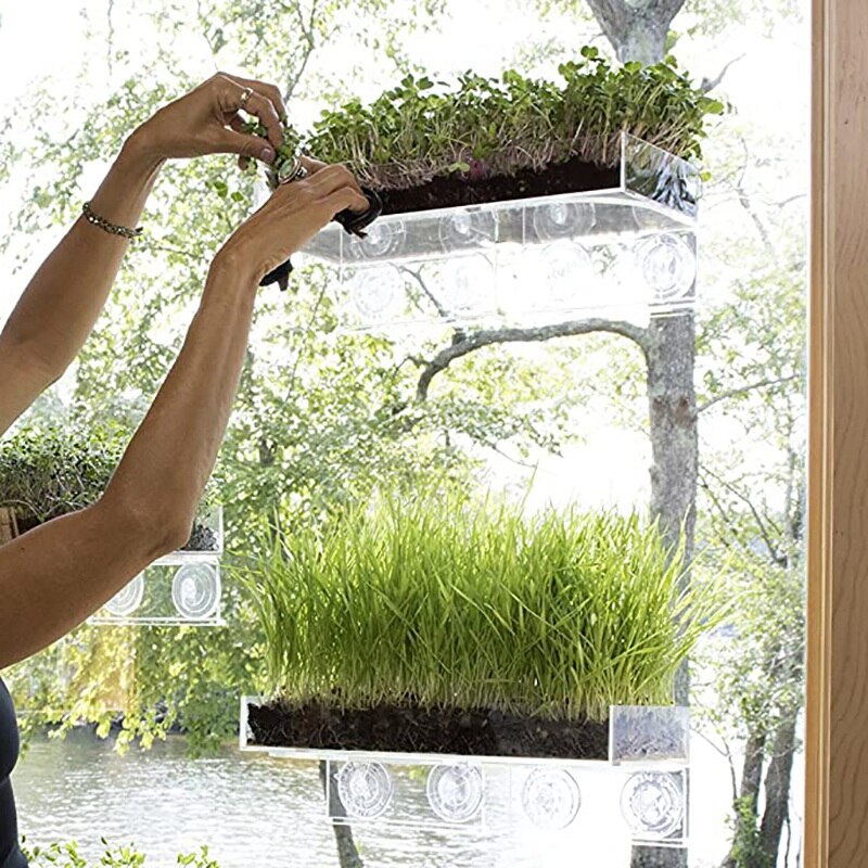 2x afsatser sugekop vindue hylde plante vindue hylde indendørs vindue plante hylde til indendørs plantehave