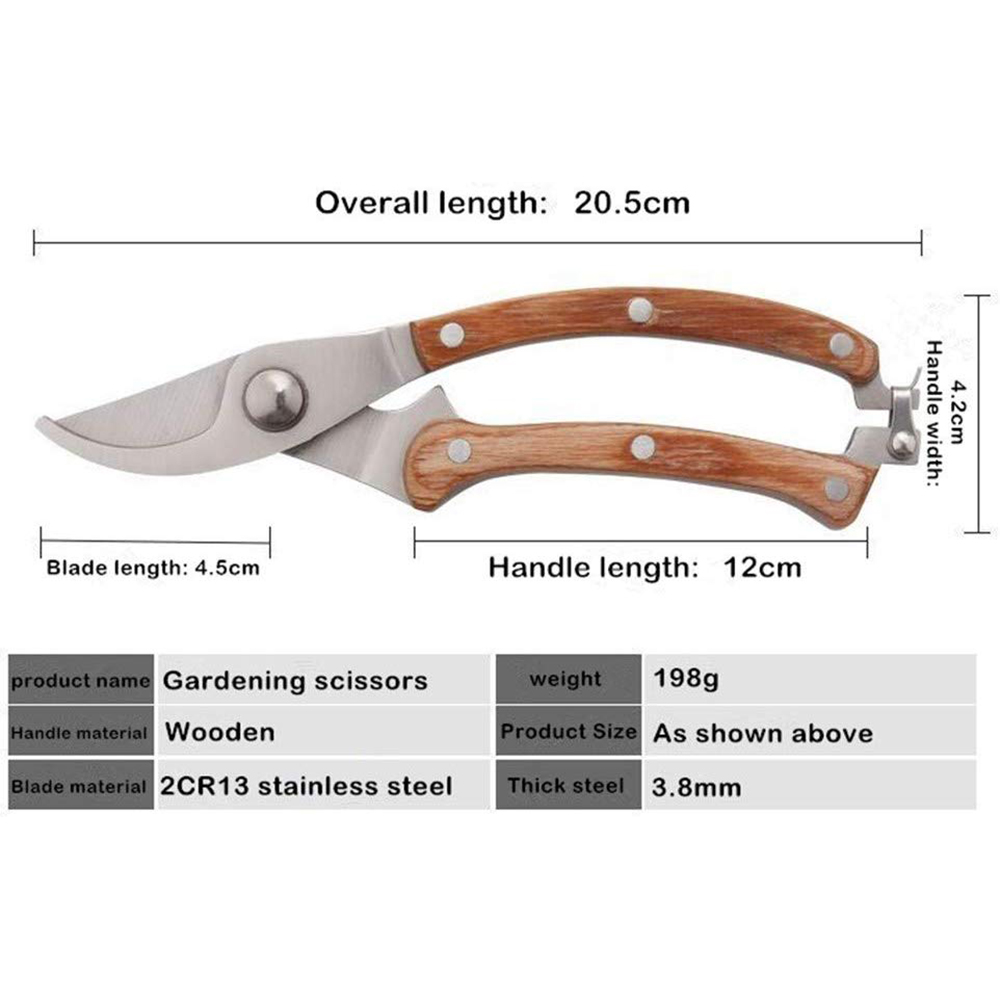 TianBonsai Bonsai Schere - Profi-Werkzeug Für Bonsai-Pflege