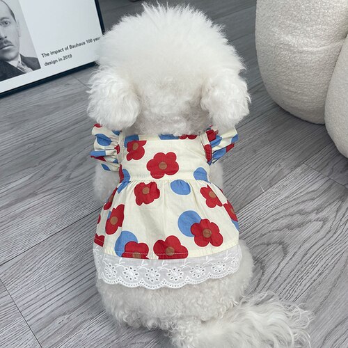 Letnia sukienka dla psa kot sukienki dla szczeniąt Chihuahua pomorskie Shih Tzu maltese Yorkshire pudel Bichon odzież dla małych psów spódnica: Czerwony / XXL