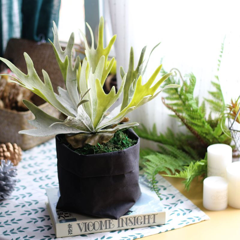 Washable Kraft Paper Bag Multifunction Shimmering Reuse Storage Bag Pots For Plant Flowers Home Decor