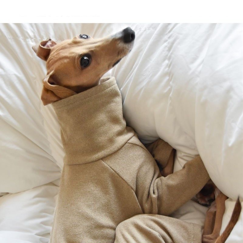 Fahison Whippet lévrier italien vêtements de luxe coton chien Jammies hiver col roulé Stretch vêtements pour animaux de compagnie: XXXL / WHITE
