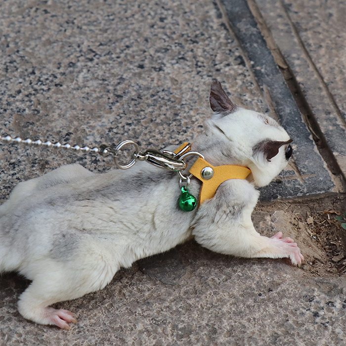 Sugar Glider Towing Harness Little Pet Outdoor Collar 3 Size In One Anti-lost Clothes Leash For Small Pet Supplies Leashes ZA212: Light Yellow