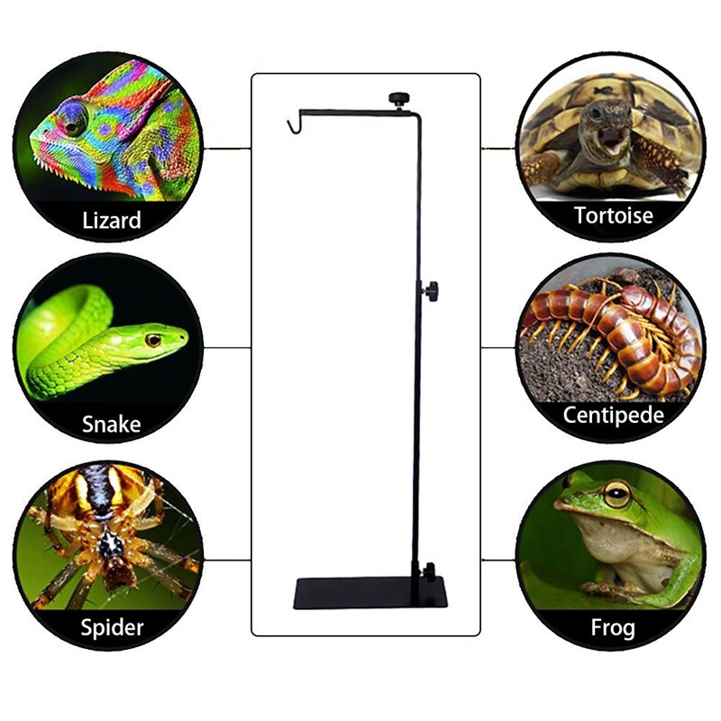 Reptile Lamp Stand Adjustable Telescopic Metal Floor Lamp Bracket for Succulent Lizard Tortoise Turtle Heating Light Holder