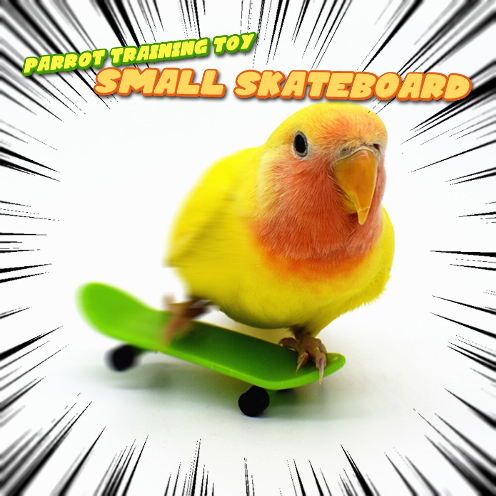 Parrot Training Small Skateboard Parrot Toy Pulley Small Sun Cockatiel Bird Supplies Roller Skates Skateboard