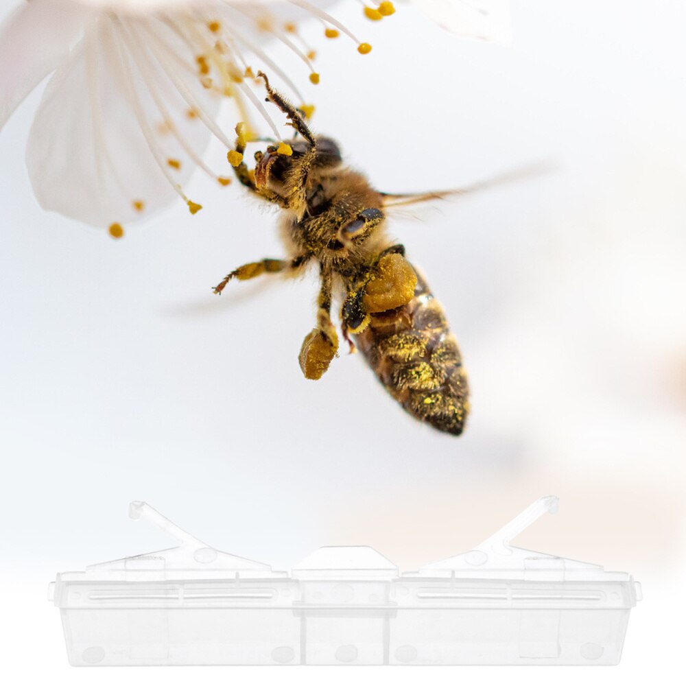 12Pcs Beetle Trap Easy To Use Beetle Catcher Beekeeping Supplies Beekeeping Accessory Beetle Controller for Beekeeping