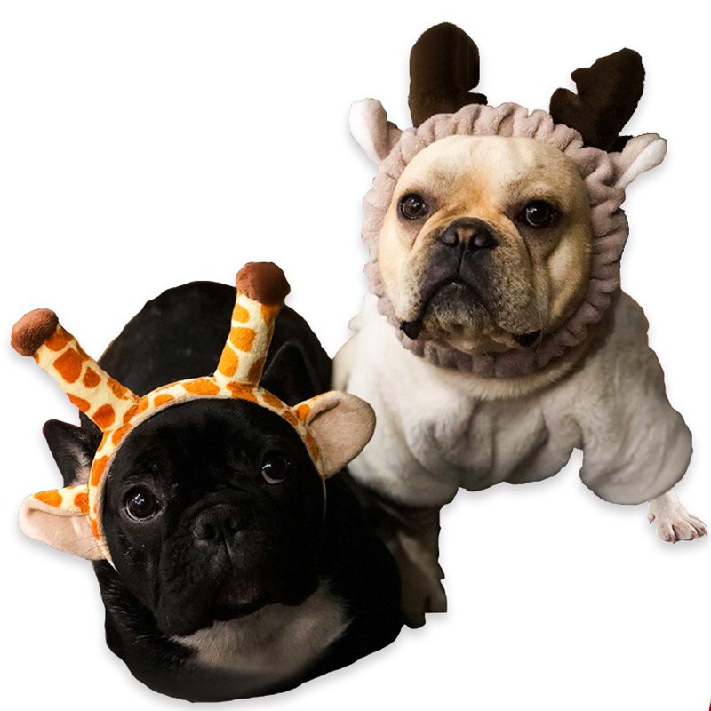 Cosplay Hond Kat Hoed Hond Cap Honden Accessoires Voor Kleine Honden Dress Up Kostuum Huisdieren Producten Kat Hoed Voor franse Bulldog York