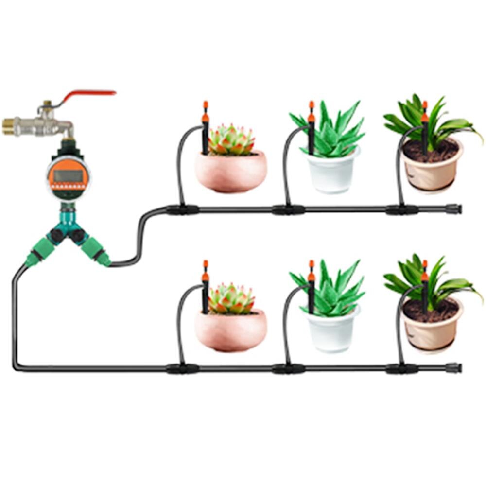 Welke planten groeien het beste met oya's