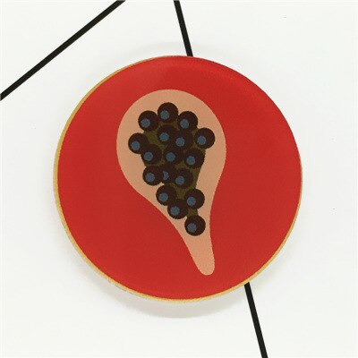 Mooie Watermeloen Aardbei Lemon Broche Acryl Pin Badges Pictogrammen Op De Rugzak Medaille Decoratie Badge Voor Kleding: B
