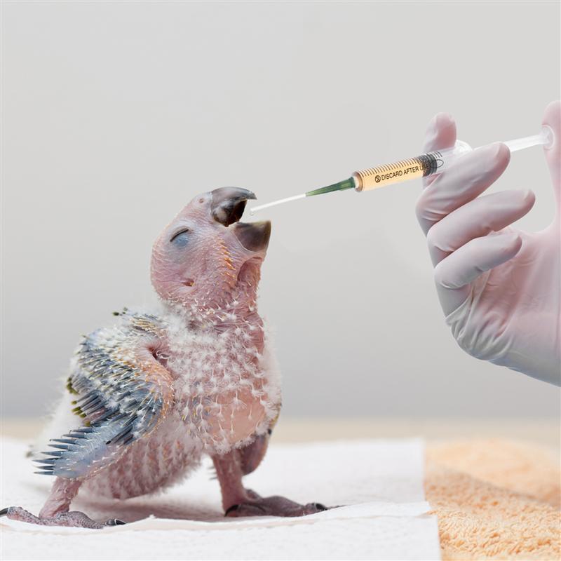 3Pcs Slang Jonge Vogels Voeden Tool Voeden Geneeskunde Buizen Plastic Baby Vogel Voeden Slang Voor Huisdier Vogel Papegaai Feeder willekeurige Kleur