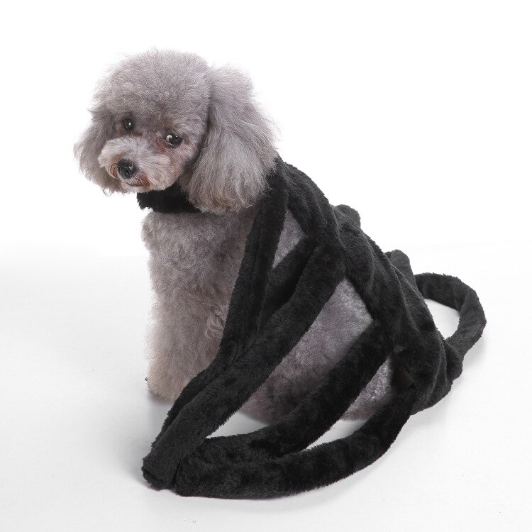 Spider Dog Costume Halloween Costumes for Small Dogs