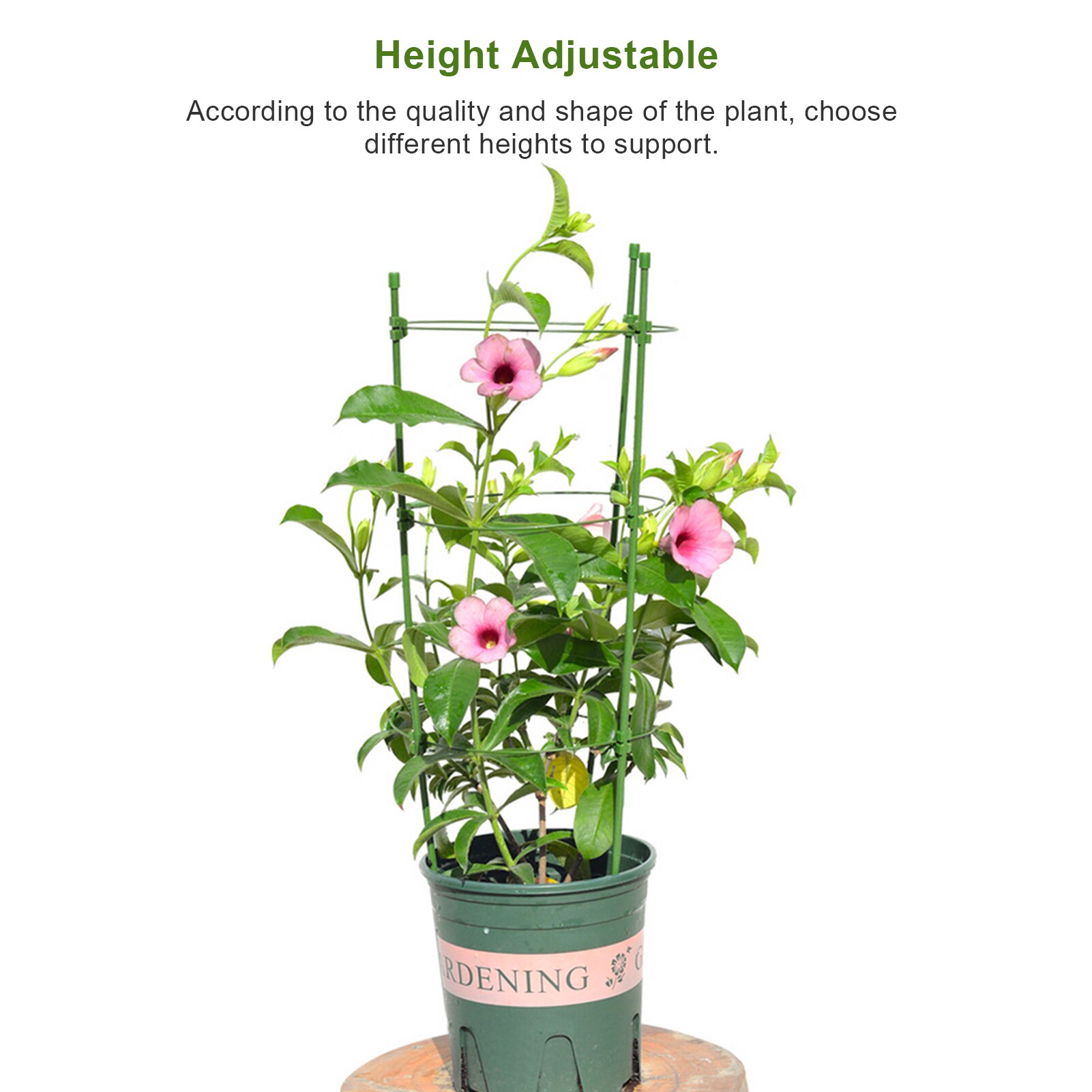 Support de vigne grimpante de jardin, cage de soutien pour plantes en pot, cadre en plastique, fleurs et légumes, Support décoratif en treillis, fournitures de jardin
