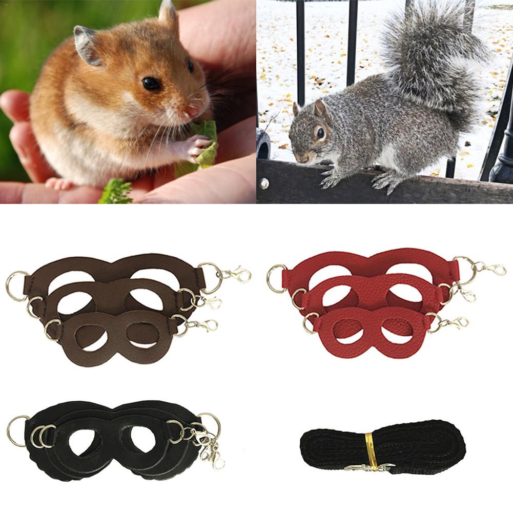 Lite kjæledyrsnor trekkraft sukker glider utendørs trekketau hamster ekorn lite kjæledyr brystbånd vindtett anti tapt tau