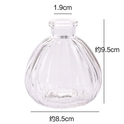 Hydroponiska växter vas enkel glasvas hem dekorativa bord transparent blomvas: D