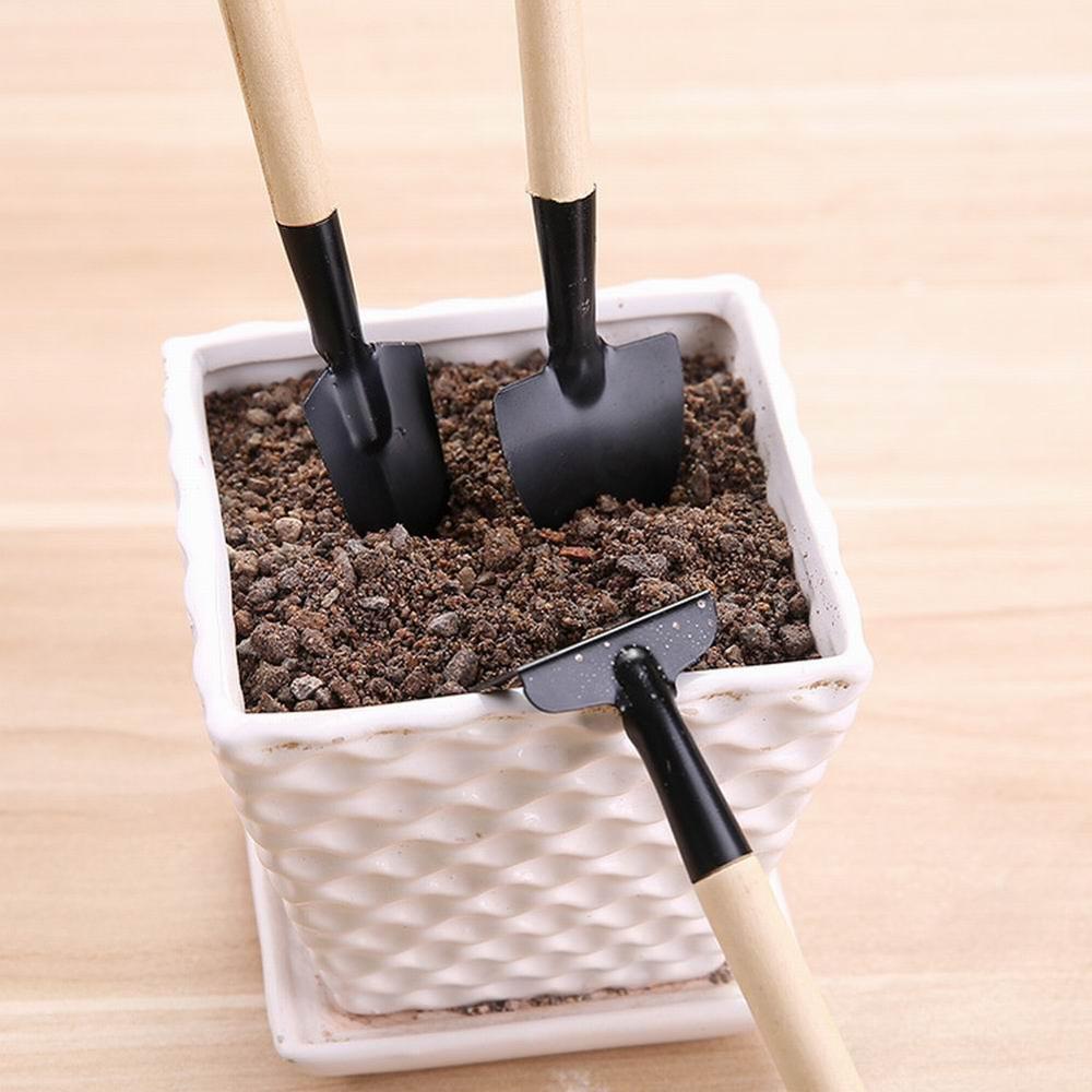 3 unids/set Mini pala Harrow maceta herramientas de plantas en macetas de mango de madera suelos palas herramientas de jardinería