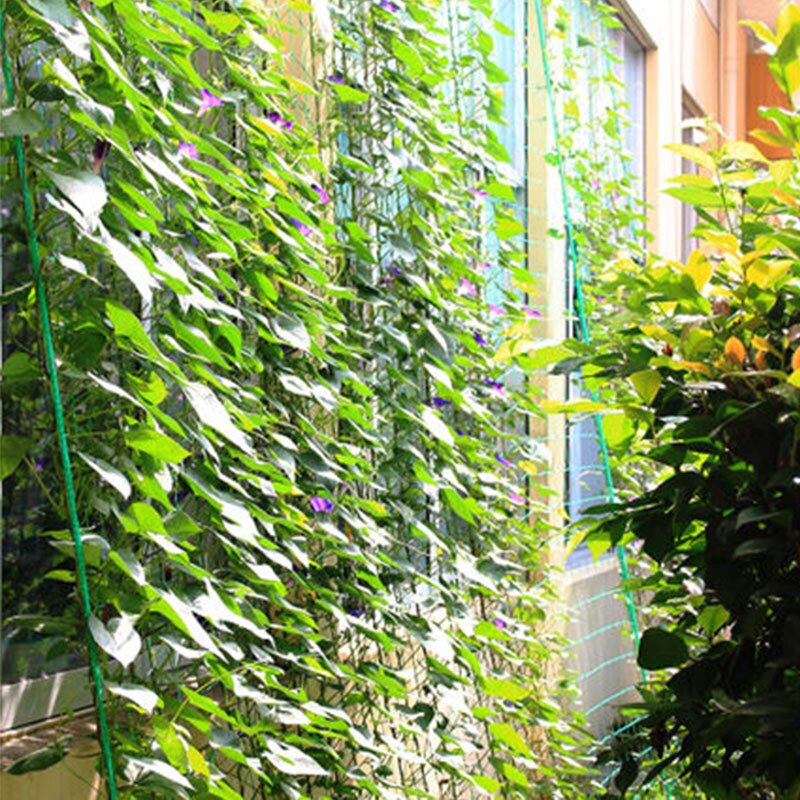 Nylon Mesh Horticulture Plant Climbing Net Morning Glory Flower Vine Netting Support Net Grow Net Holder Garden Supplies