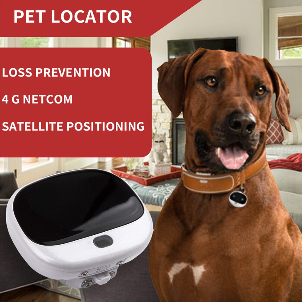 Pet Collar Waterproof Collar Pet Locator Intelligence Smart Hound Locator Mini Anti-Loss Tracker Dog Cat GPS Location Tracker