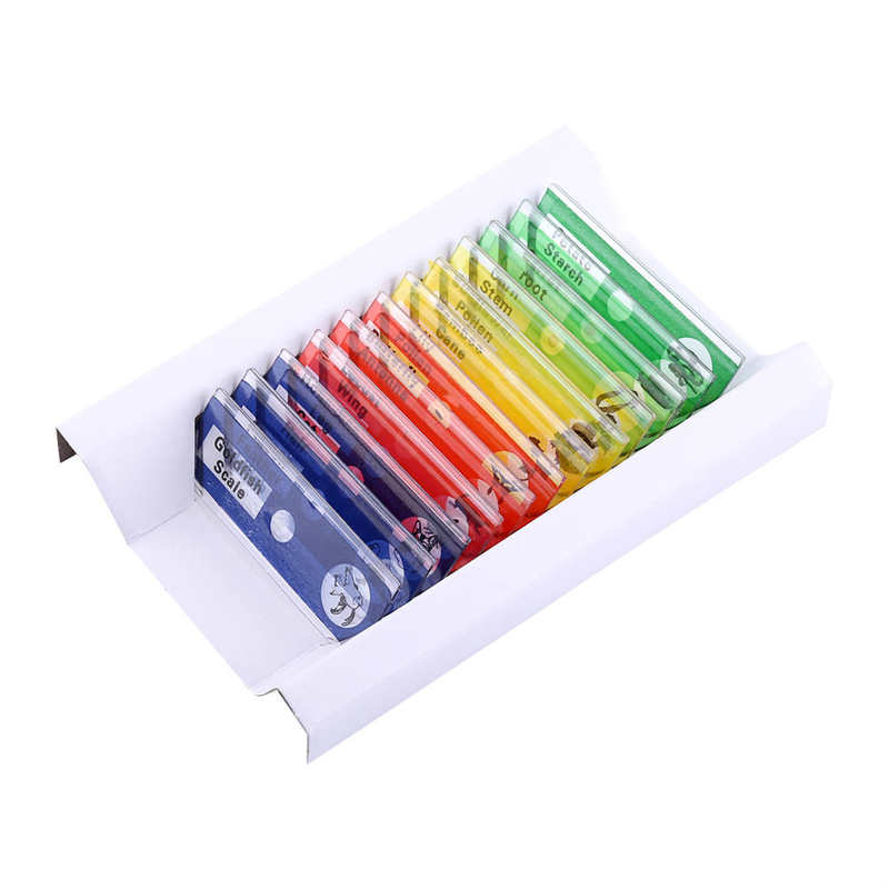 12pcs Plastic Prepared Microscope Slides Animals Insects Flowers Plants