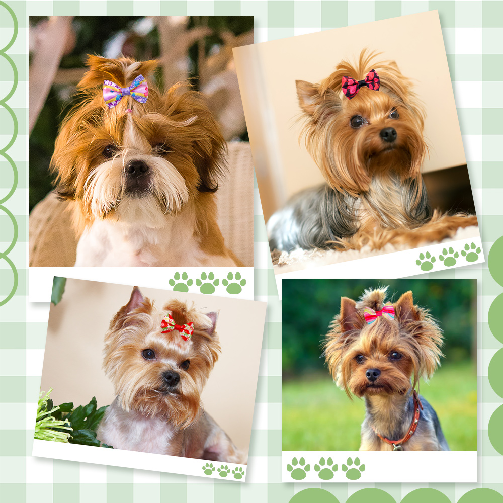 Lazos para el pelo de perros, gomas hechas a mano para cachorros, 30/50 piezas, , suministros para mascotas