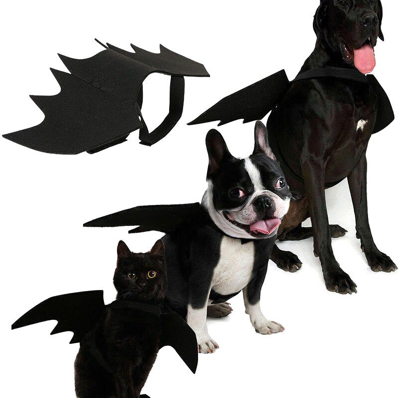 Disfraz de Halloween para gato negro, alas de murciélago, Cosplay, Disfraces para mascotas para gatos, perros y gatos pequeños, accesorios para vestir