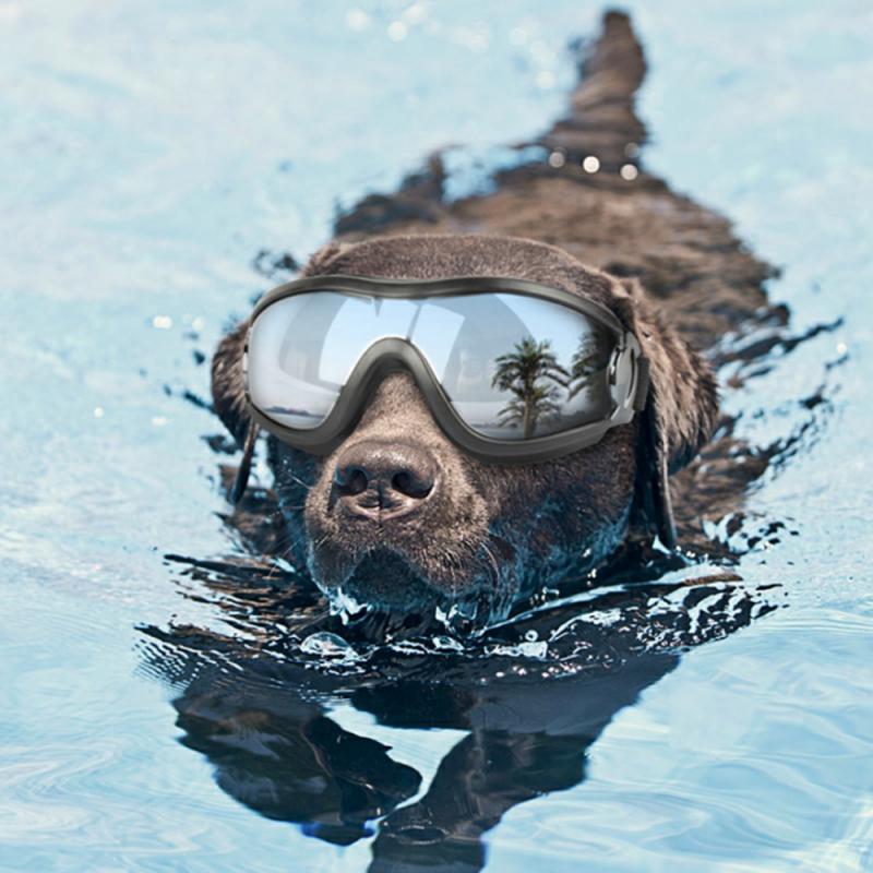 Haustier Hund Sonnenbrille UV Schutz Winddicht Anti-brechen Brille Haustier Auge Tragen Hund Schwimmen skaten Gläser Mithelfer