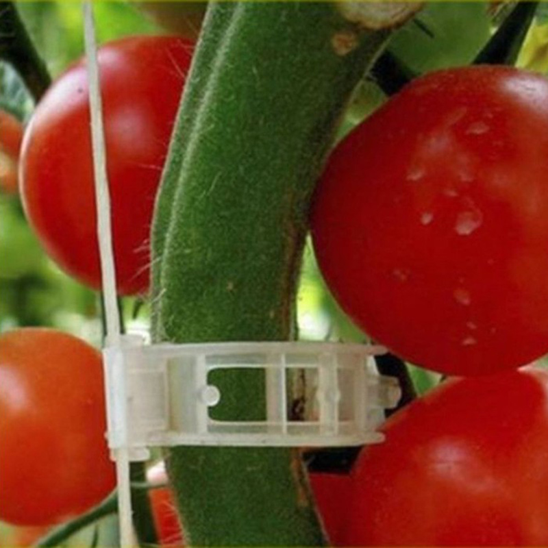 Anillos de plástico para jardín, 50/100 Uds., anillos de fijación para plantas, enredadera colgante para jardín, invernadero, verduras, tomates, cultivar pinzas verticales