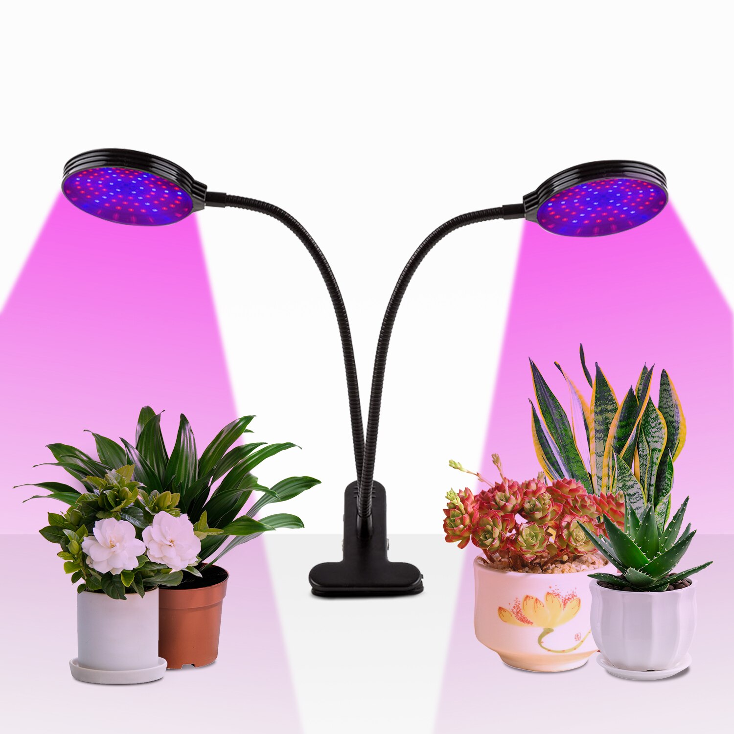 A+ vækstlys , 5 dæmpbare niveauer plantevækstlys til indendørs planter med rød blå spektrum , 3 modes timing funktion: To lys