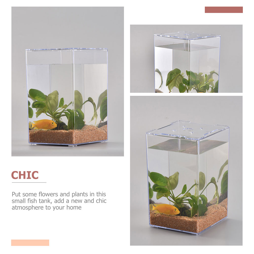 Pecera pequeña, Mini pecera, acuario pequeño, acrílico, caja de peces