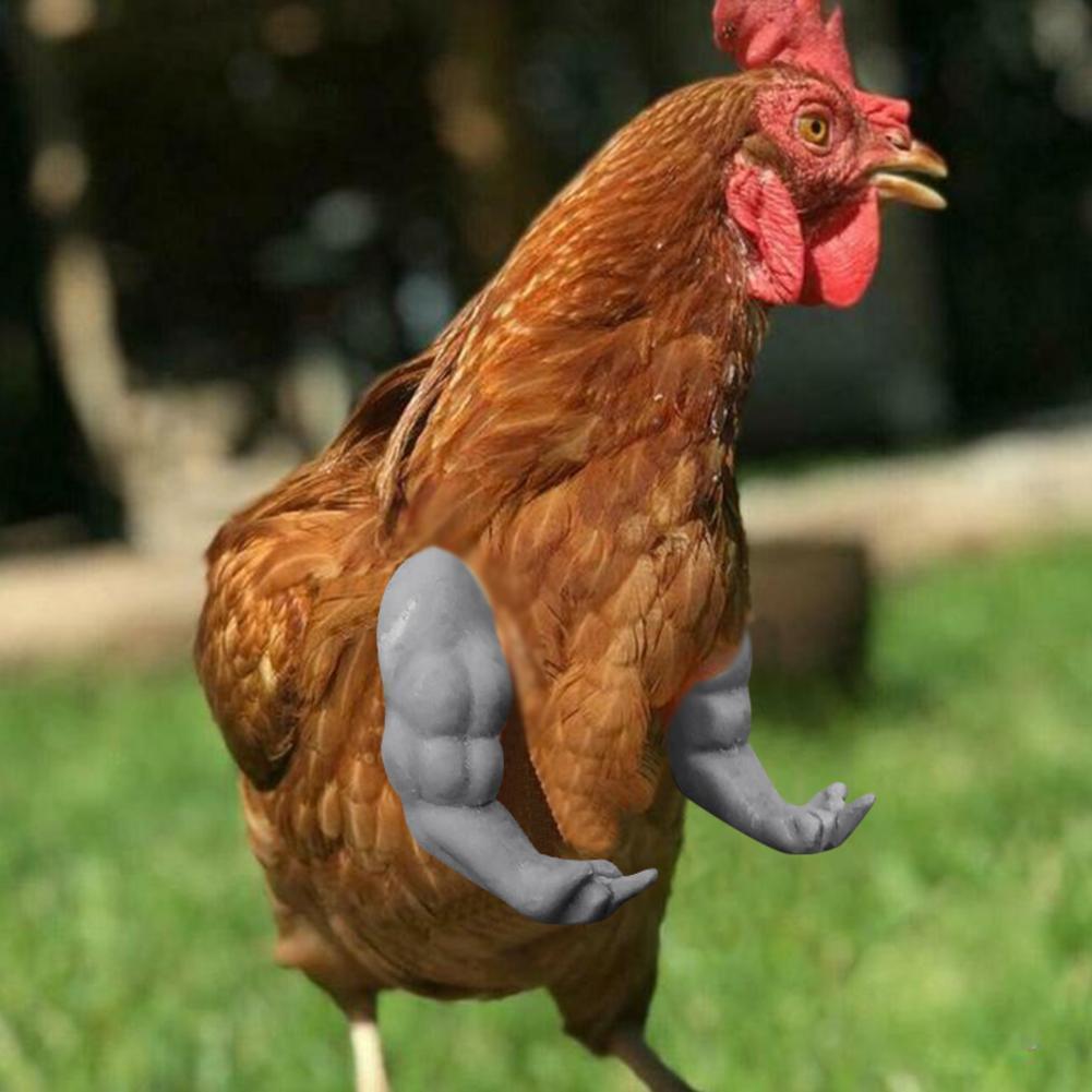 Brazos de pollo musculosos, decoración divertida adecuada para cuerpo y puño de pollo, accesorios divertidos para brazos de pollo, juguete de broma N1I5